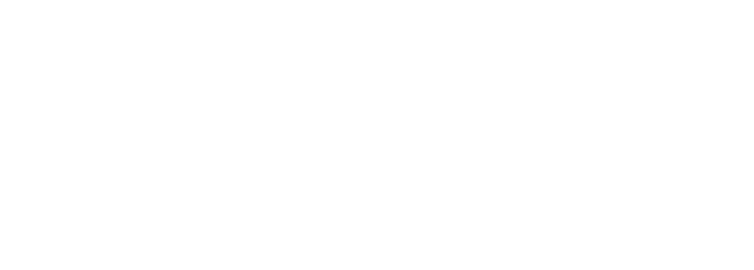 LCA Logo White